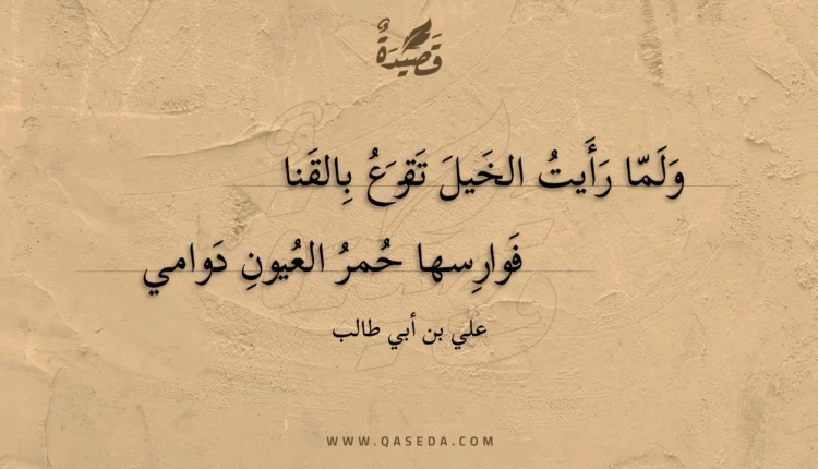 قصيدة ولما رأيت الخيل تقرع بالقنا