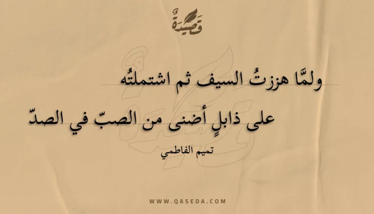 قصيدة ولما هززت السيف ثم اشتملته