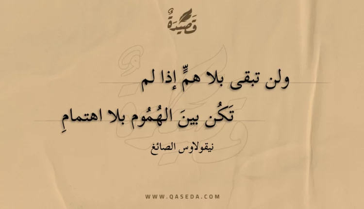قصيدة ولن تبقى بلا هم إذا لم