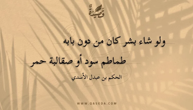 قصيدة ولو شاء بشر كان من دون بابه