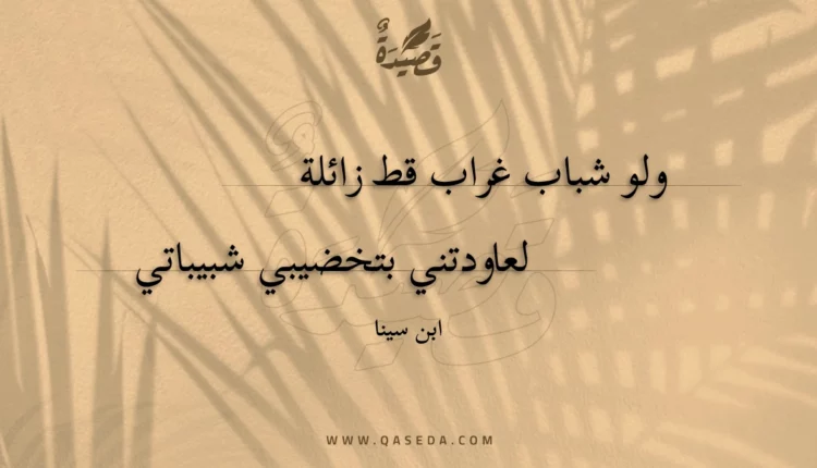 قصيدة ولو شباب غراب قط زائلة