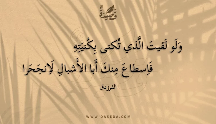 قصيدة ولو لقيت الذي تكنى بكنيته