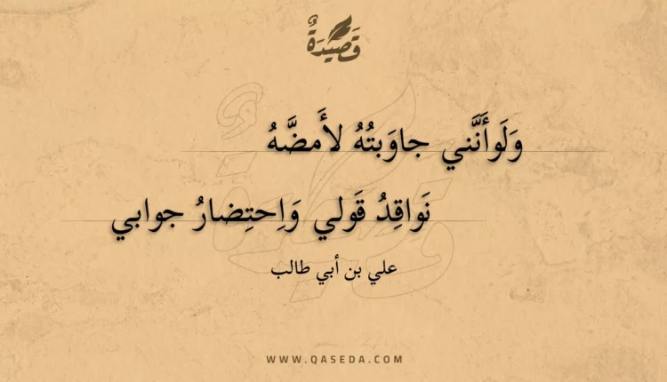 قصيدة ولوأنني جاوبته لأمضه