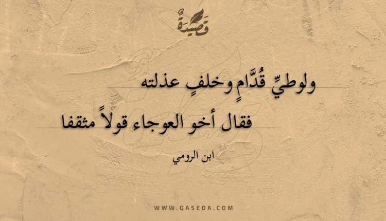 قصيدة ولوطي قدام وخلف عذلته