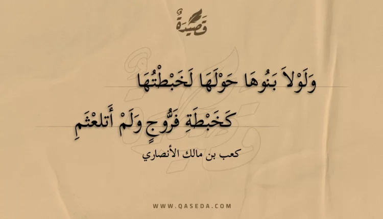 قصيدة ولولا بنوها حولها لخبطتها