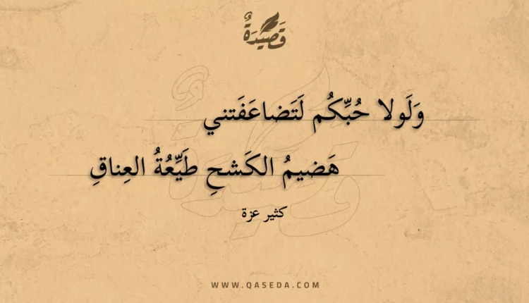 قصيدة ولولا حبكم لتضاعفتني