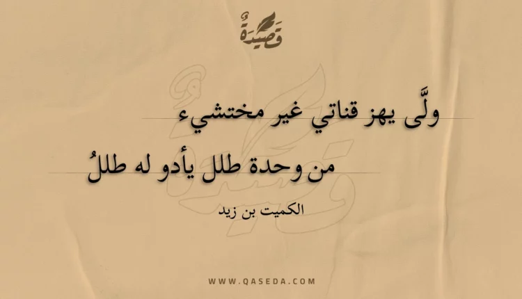 قصيدة ولى يهز قناتي غير مختشيء