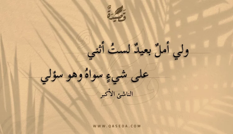 قصيدة ولي أمل بعيد لست أثني