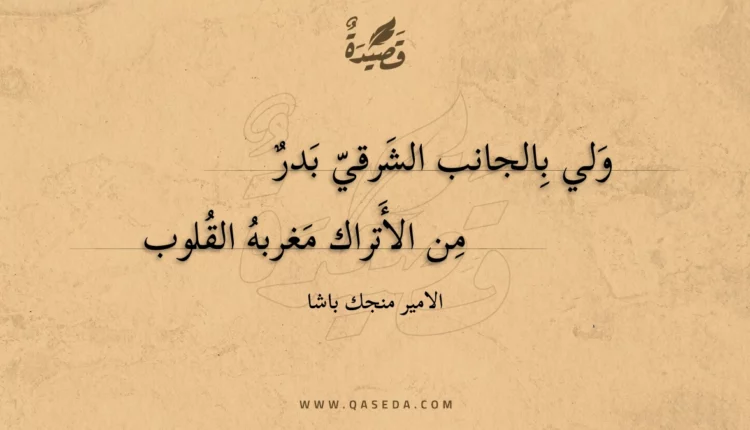قصيدة ولي بالجانب الشرقي بدر