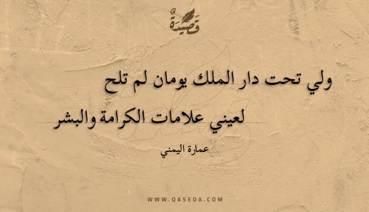 قصيدة ولي تحت دار الملك يومان لم تلح