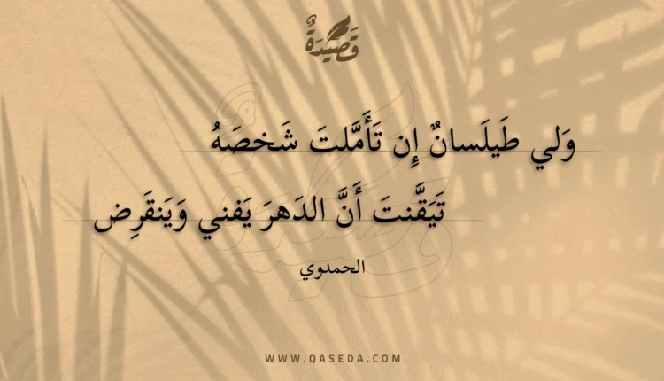 قصيدة ولي طيلسان إن تأملت شخصه