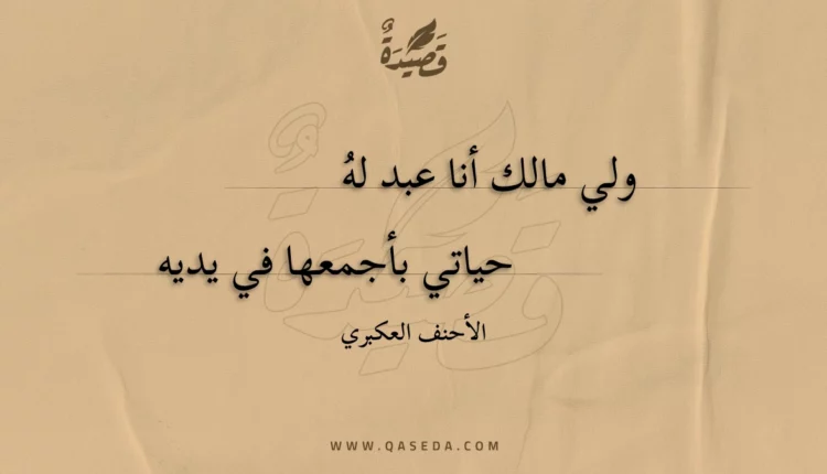 قصيدة ولي مالك أنا عبد له