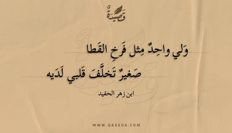 قصيدة ولي واحد مثل فرخ القطا