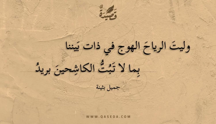 قصيدة وليت الرياح الهوج في ذات بيننا
