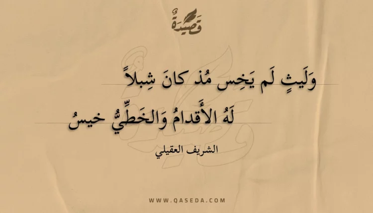 قصيدة وليث لم يخس مذ كان شبلا