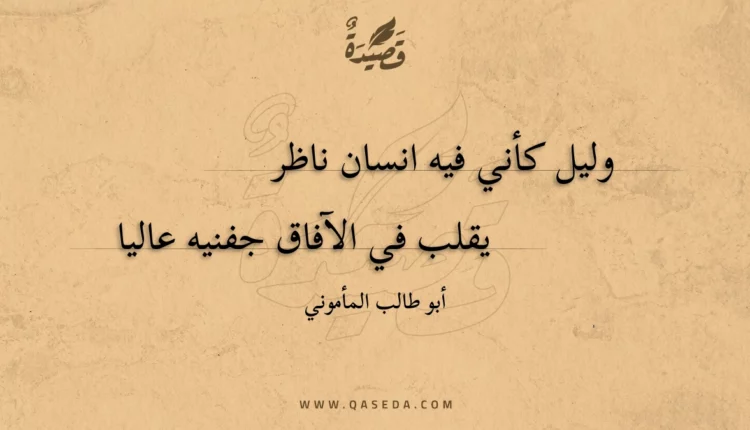 قصيدة وليل كأني فيه انسان ناظر