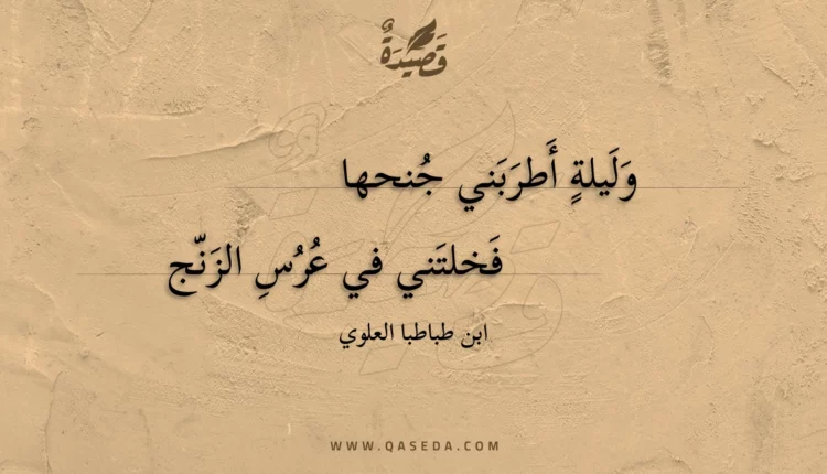 قصيدة وليلة أطربني جنحها