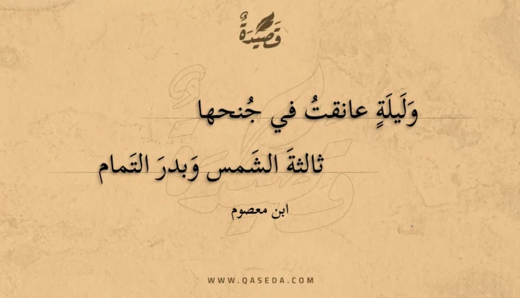 قصيدة وليلة عانقت في جنحها