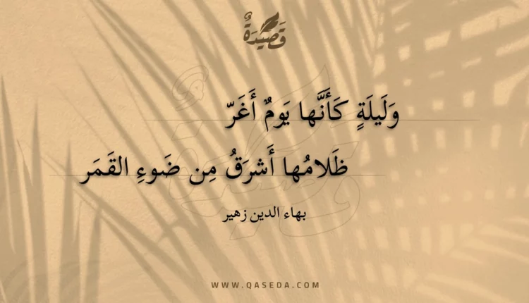قصيدة وليلة كأنها يوم أغر