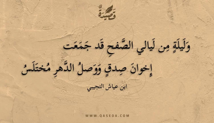 قصيدة وليلة من ليالي الصفح قد جمعت
