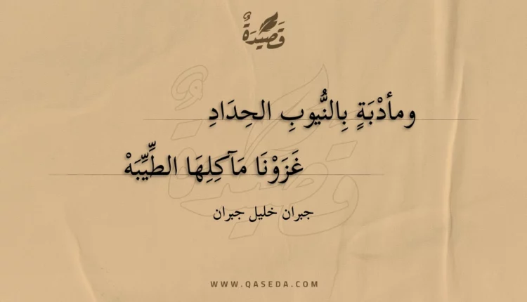 قصيدة ومأدبة بالنيوب الحداد