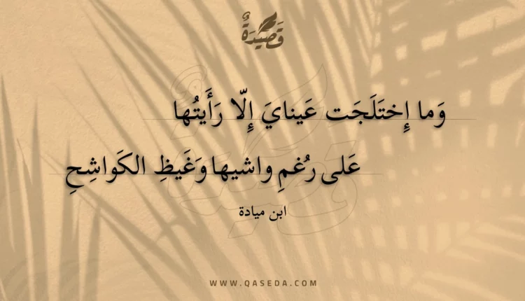 قصيدة وما إختلجت عيناي إلا رأيتها