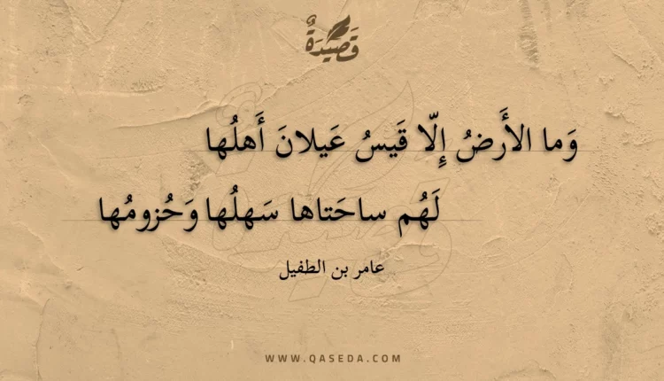 قصيدة وما الأرض إلا قيس عيلان أهلها