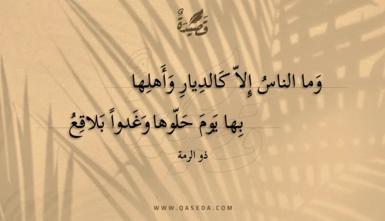 قصيدة وما الناس إلا كالديار وأهلها