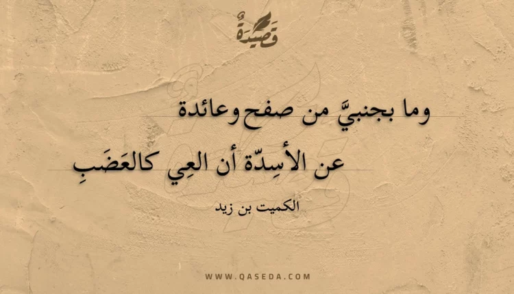 قصيدة وما بجنبي من صفح وعائدة
