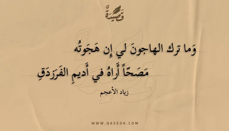 قصيدة وما ترك الهاجون لي إن هجوته