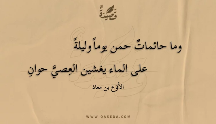 قصيدة وما حائمات حمن يوما وليلة