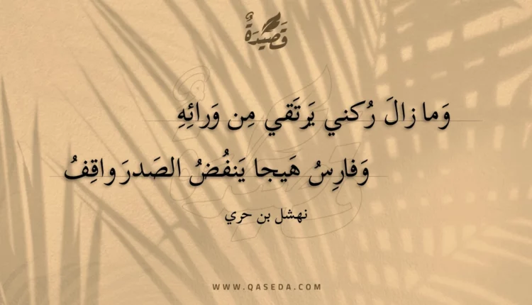 قصيدة وما زال ركني يرتقي من ورائه