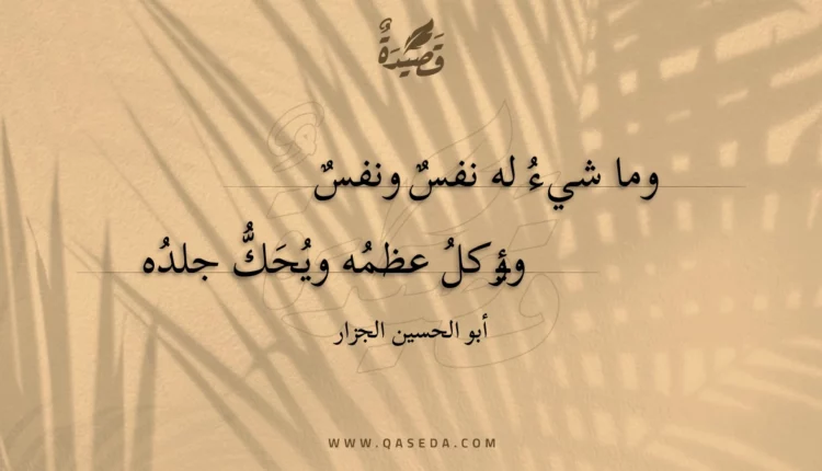 قصيدة وما شيء له نفس ونفس