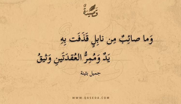 قصيدة وما صائب من نابل قذفت به
