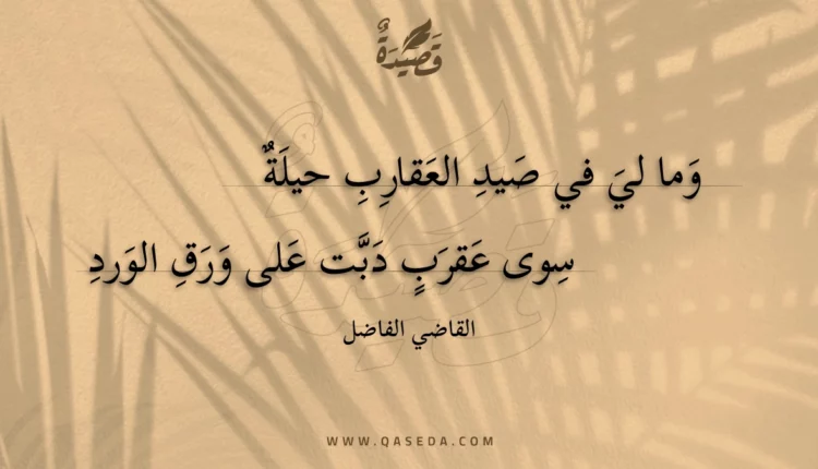 قصيدة وما لي في صيد العقارب حيلة