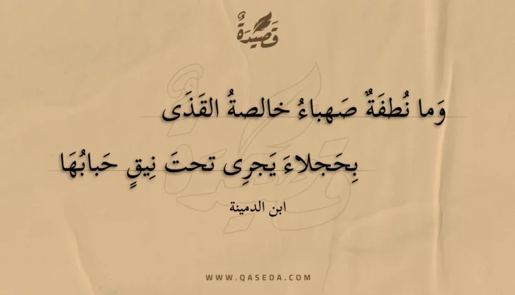 قصيدة وما نطفة صهباء خالصة القذى