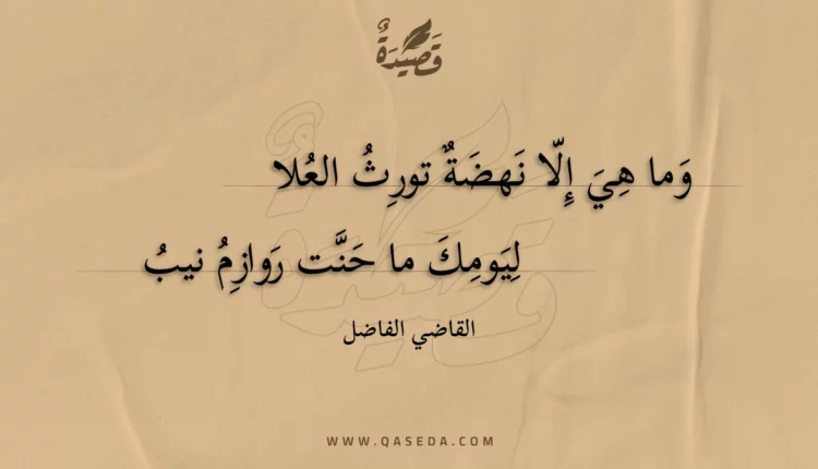 قصيدة وما هي إلا نهضة تورث العلا