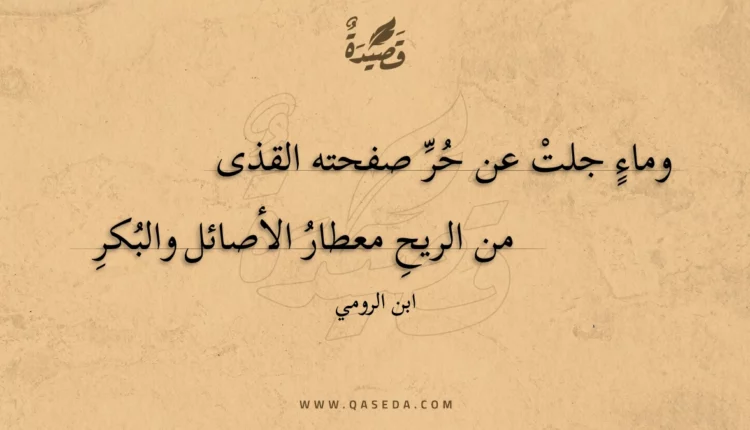 قصيدة وماء جلت عن حر صفحته القذى