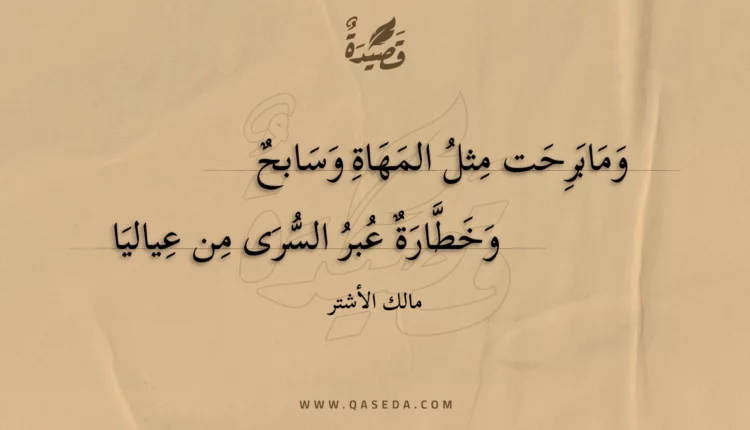 قصيدة ومابرحت مثل المهاة وسابح