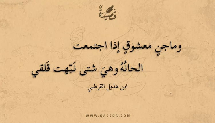 قصيدة وماجنٍ معشوق إذا اجتمعت