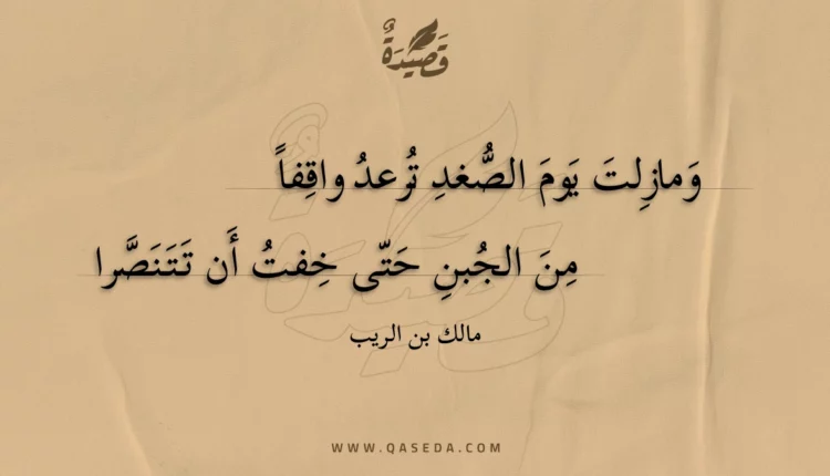 قصيدة ومازلت يوم الصغد ترعد واقفا