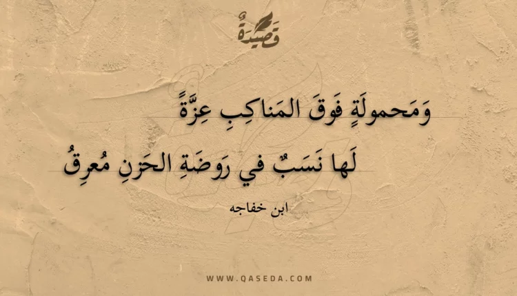 قصيدة ومحمولة فوق المناكب عزة