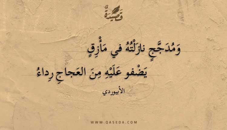 قصيدة ومدجج نازلته في مأزق