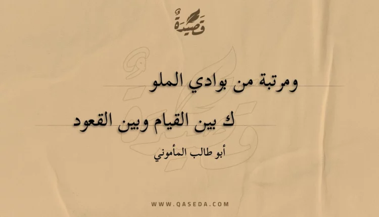 قصيدة ومرتبة من بوادي الملوك