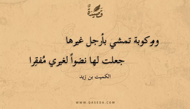 قصيدة ومركوبة تمشي بأرجل غيرها
