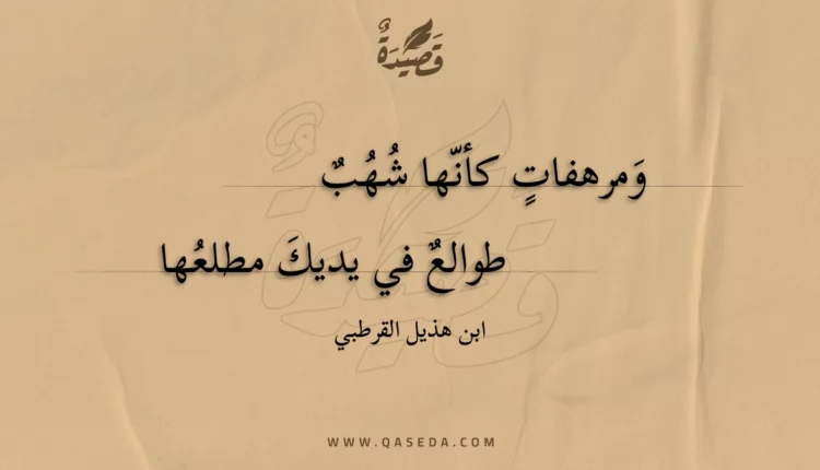 قصيدة ومرهفات كأنها شهب