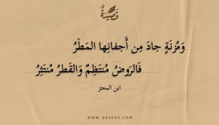 قصيدة ومزنة جاد من أجفانها المطر
