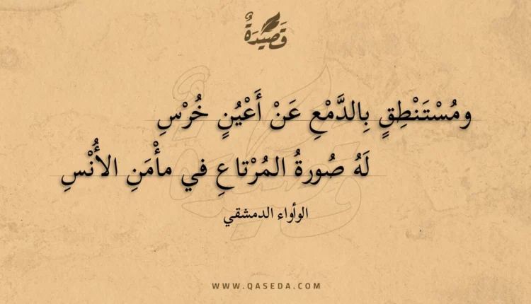 قصيدة ومستنطق بالدمع عن أعين خرس
