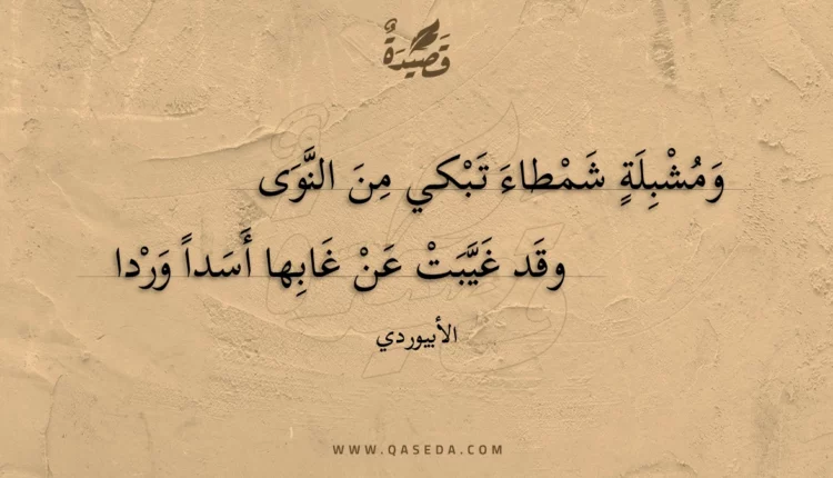 قصيدة ومشبلة شمطاء تبكي من النوى