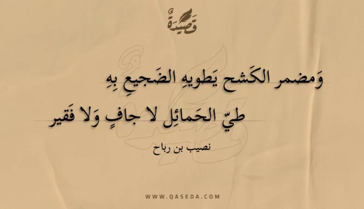 قصيدة ومضمر الكشح يطويه الضجيع به